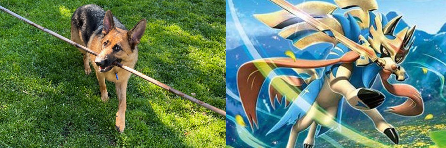 Lucid banner