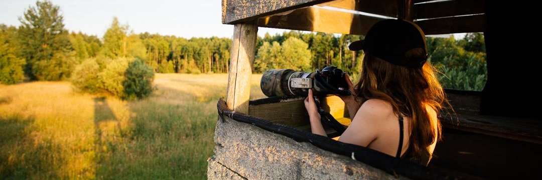 Stephanie Foote banner