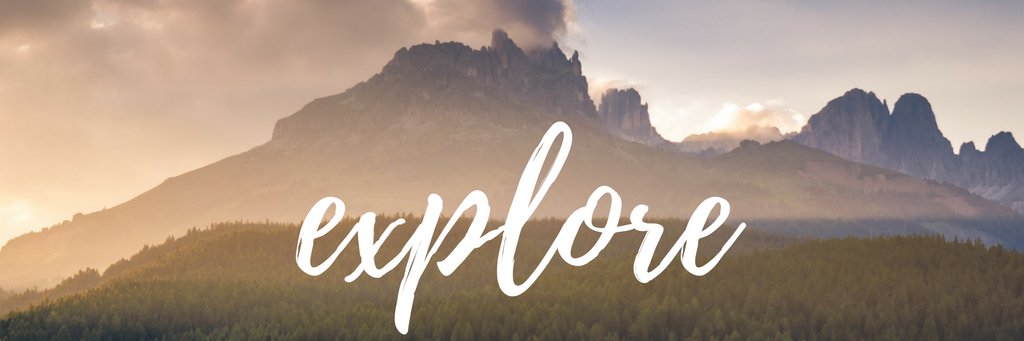 Stephanie Dawn banner