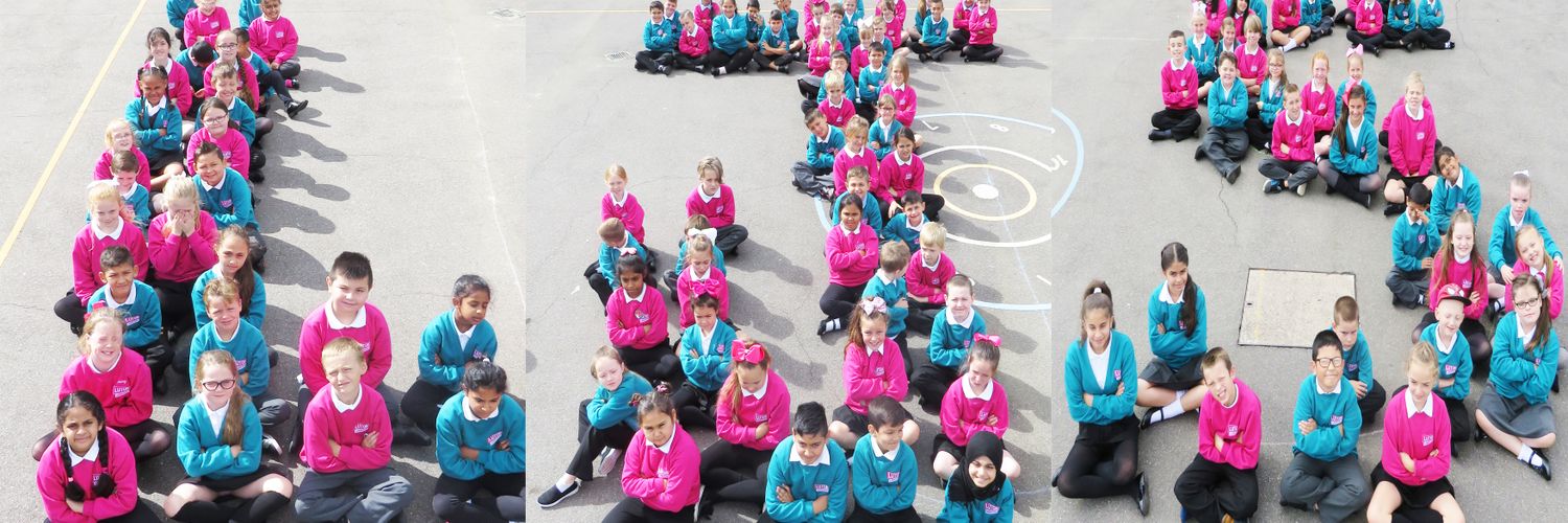 Luton Primary School banner