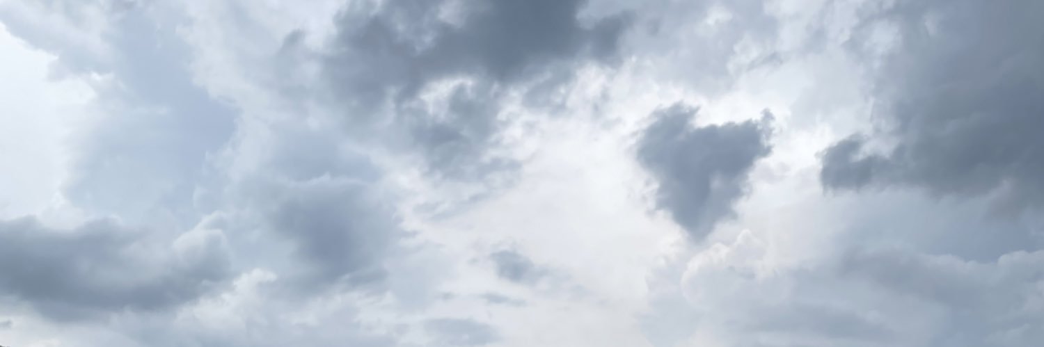 anvidal5's profile banner image