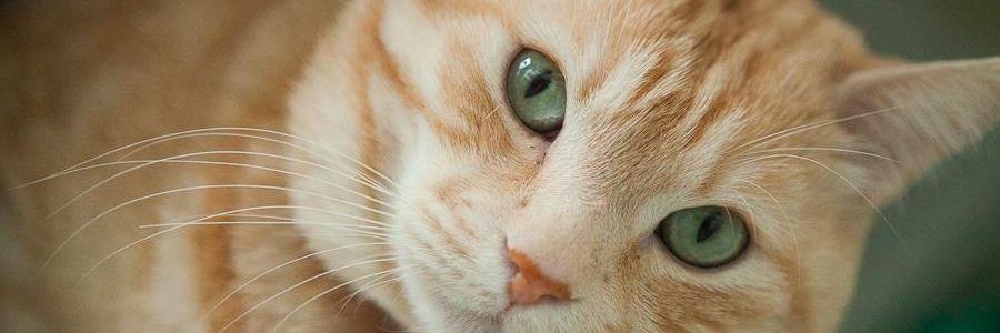 la_ste83's profile banner image