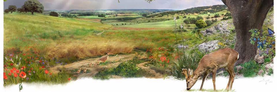 Jose Manuel Caraballo 🧸♻️🔬🦠🔭🕳⏳🗺🎼🌏🍄💐🕊🦍 banner