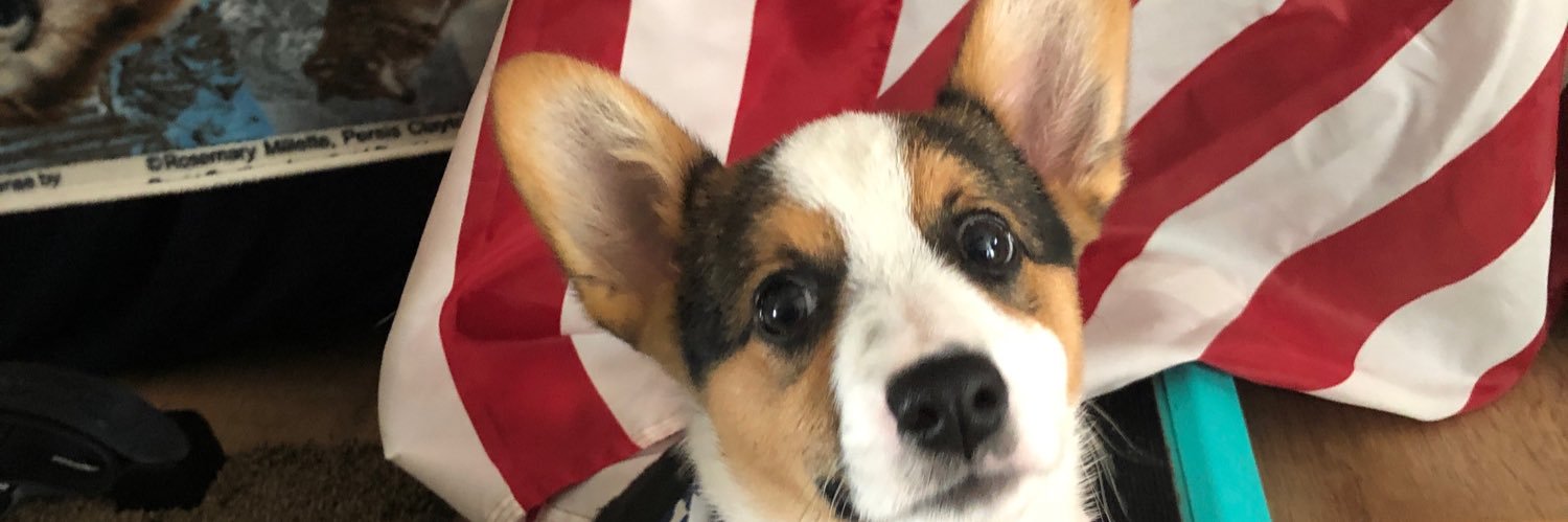 TheRustyDad's profile banner image