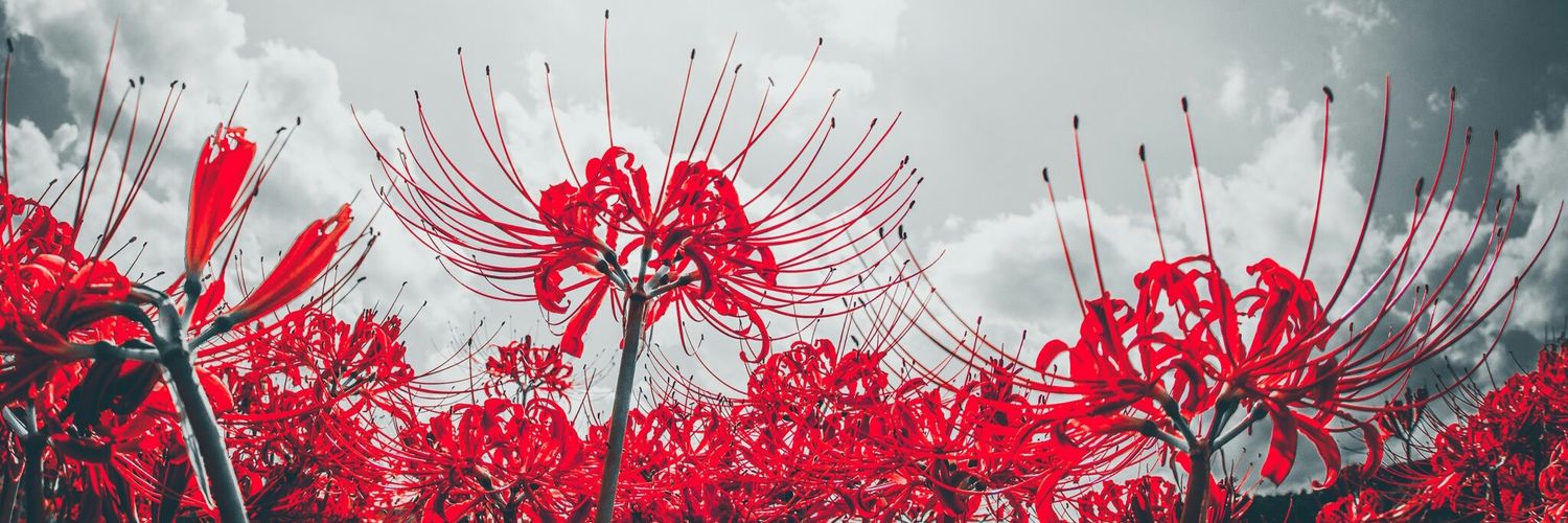 Licolis's profile banner image