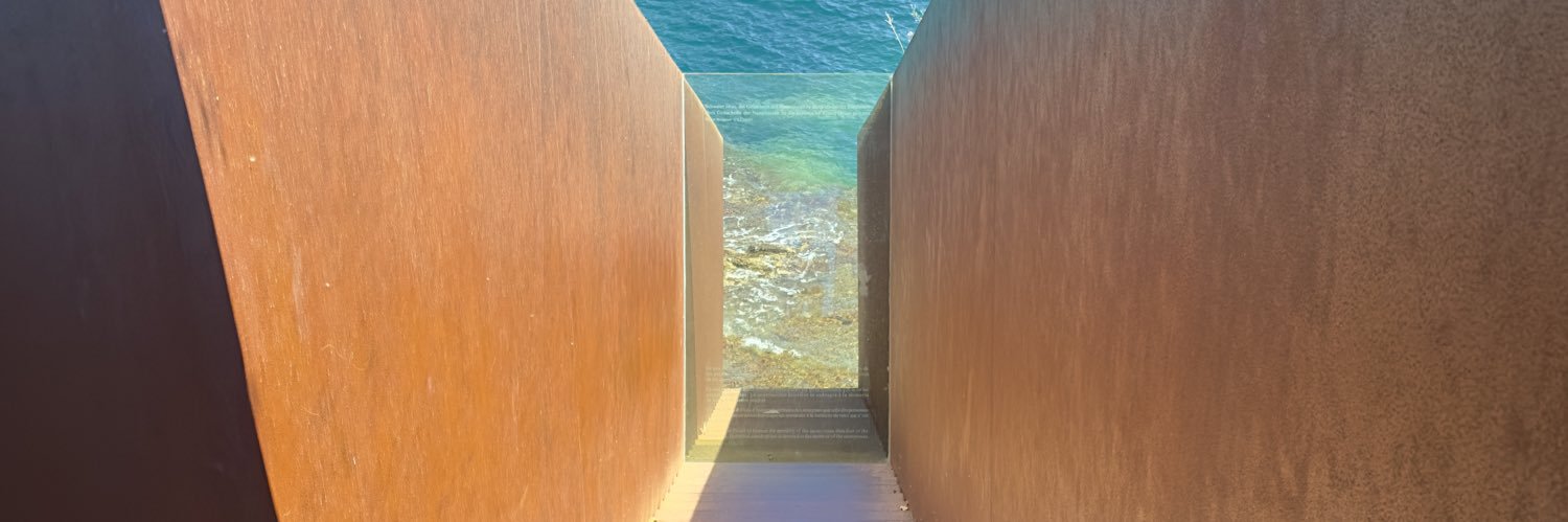 Joan Pons i Puig banner