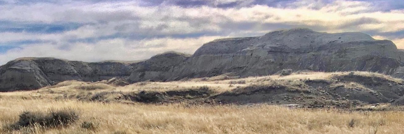 duncan_kait's profile banner image