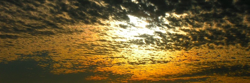 STEMSchultz's profile banner image