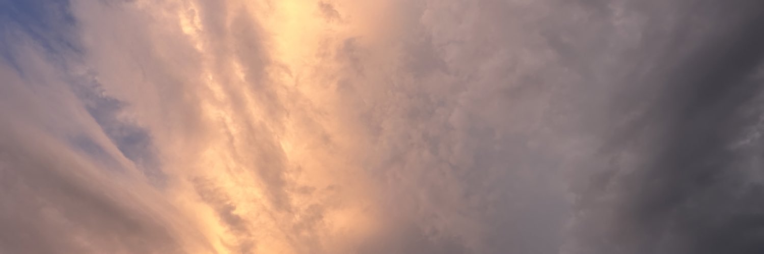 YZakordonets's profile banner image
