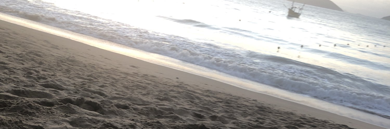 rohsayuri's profile banner image