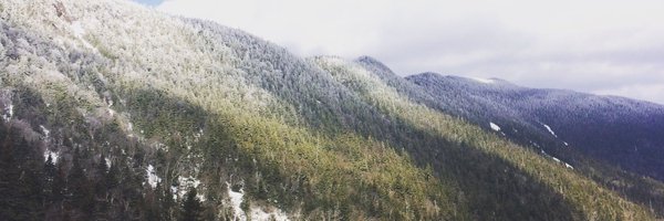 TessAulet Profile Banner