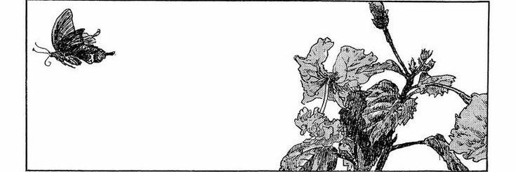 wrnvchngs's profile banner image