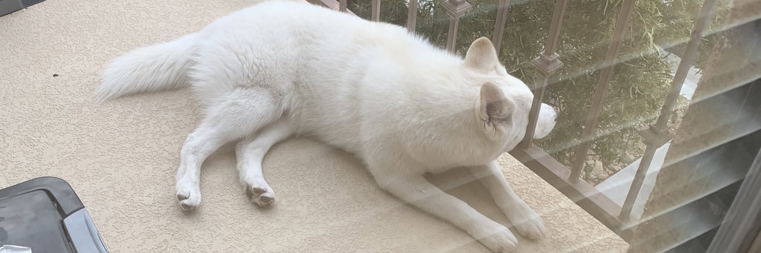 Sagititties's profile banner image