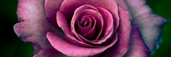 TalhaSafaa's profile banner image