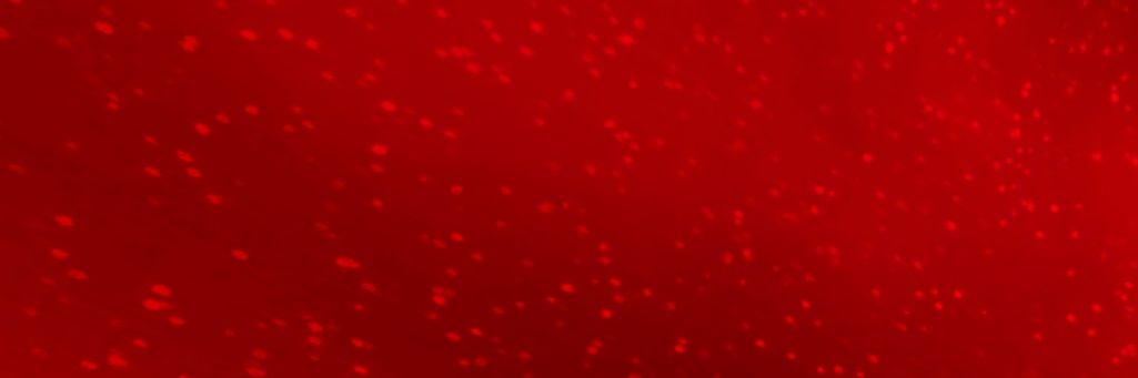 ᄃΛᄃЦᄃЦ banner