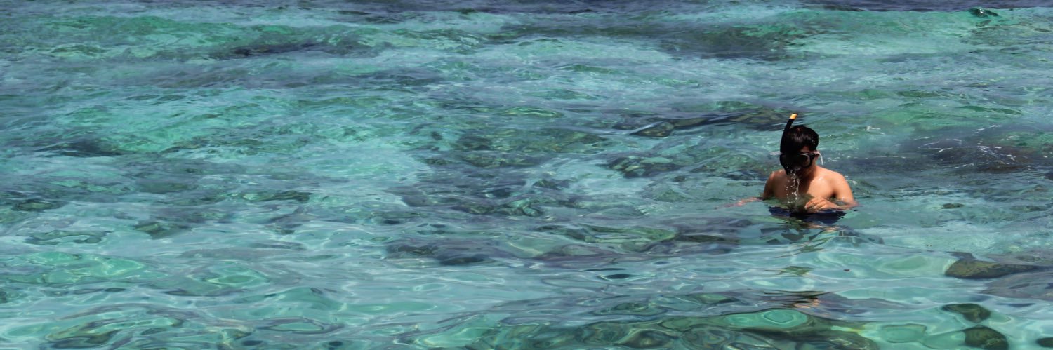 Max Backpacker banner
