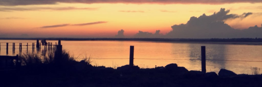 Emmacedgee's profile banner image