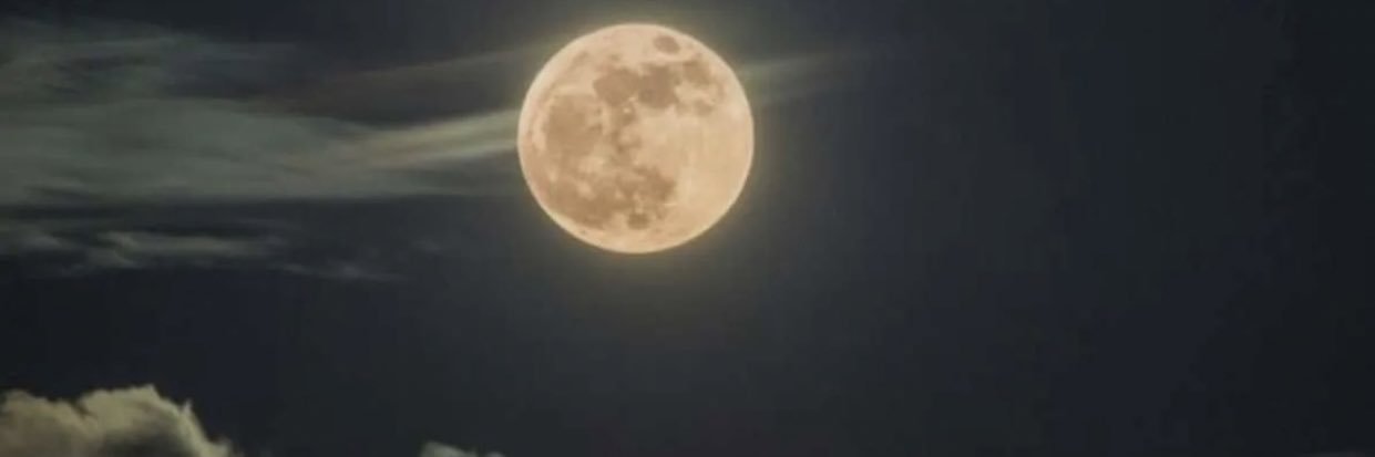 HnoCat's profile banner image