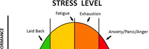 3cbPerformance Profile Banner