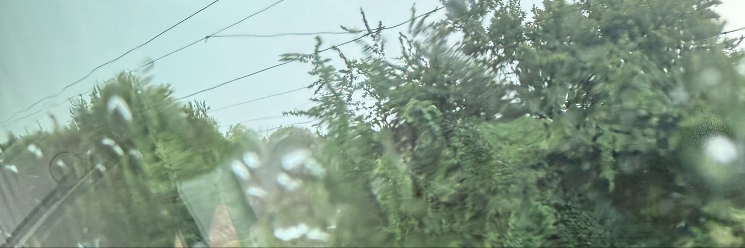 Arashbi2's profile banner image