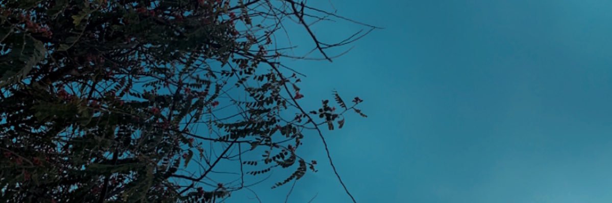 ah_11211's profile banner image