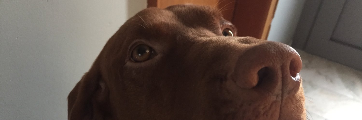Mavieh1's profile banner image