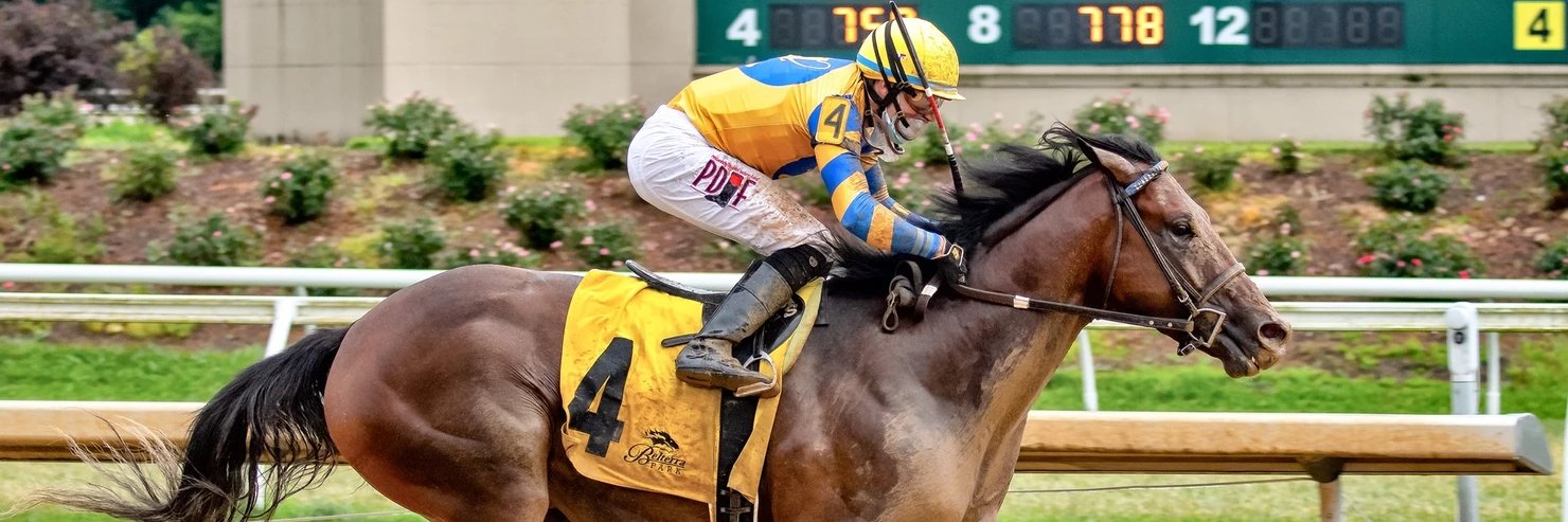 Taste of Victory Stables banner