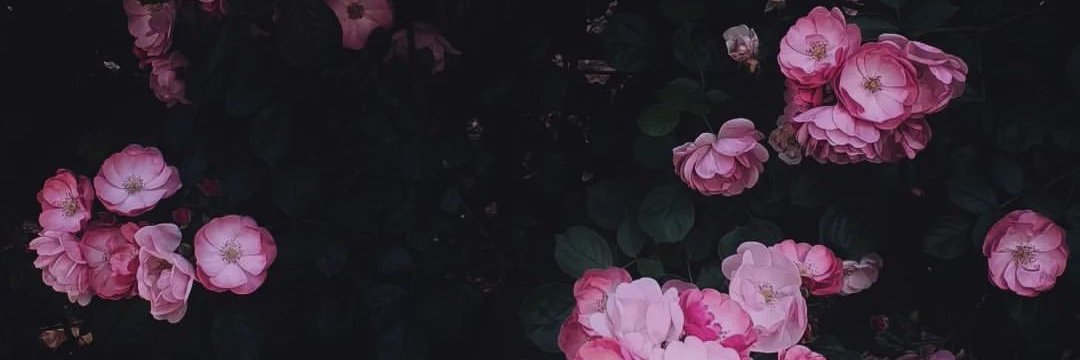 KAIA banner