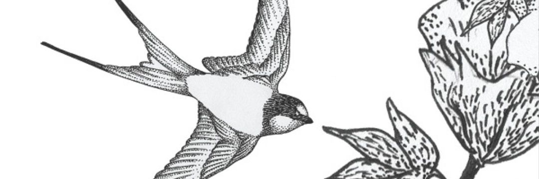tiarininta's profile banner image