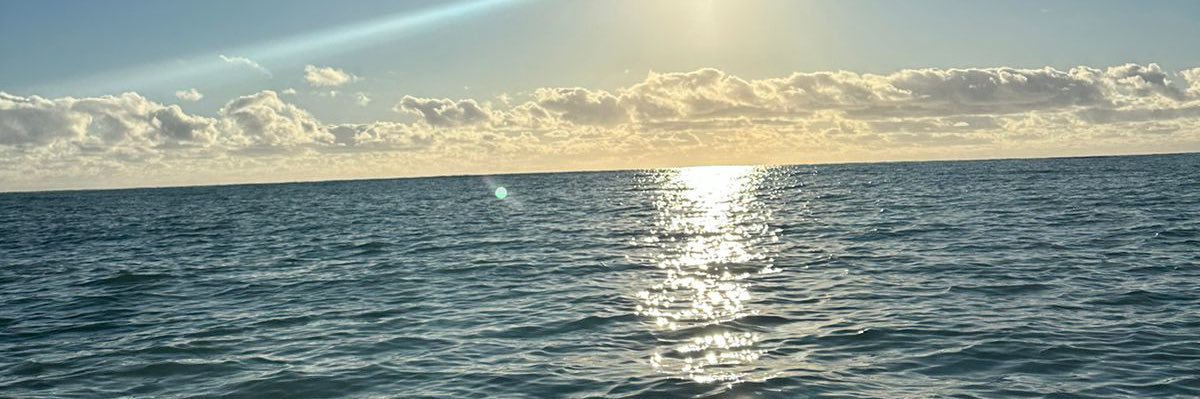 JoaLofrano's profile banner image
