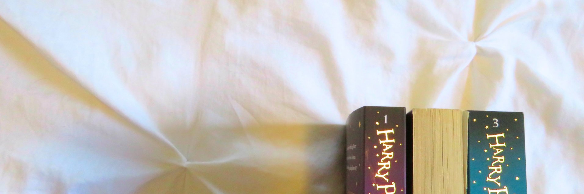 Taylor Maxine banner