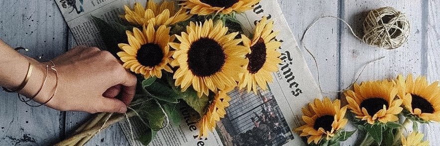 sunnybear 🌻🧸 banner