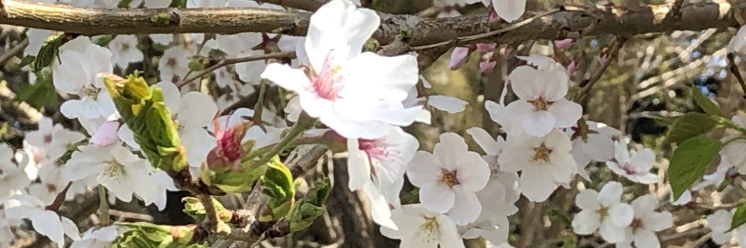 RiverNamasute's profile banner image