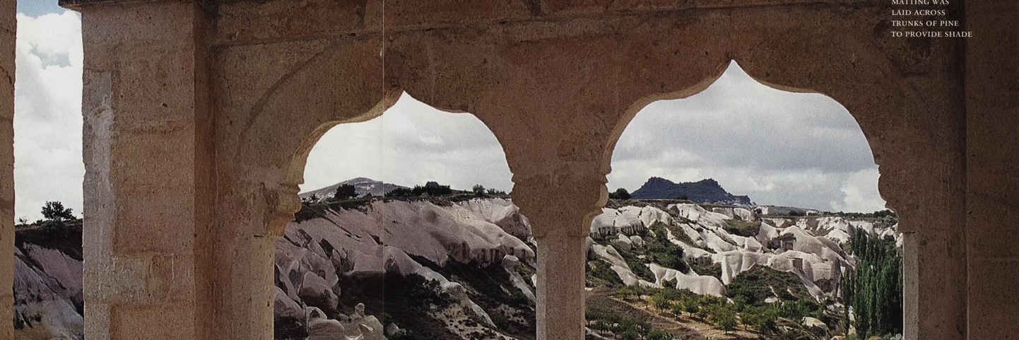 Cornucopia Magazine banner