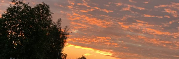 amyobecause Profile Banner