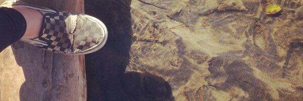 jamiemone Profile Banner