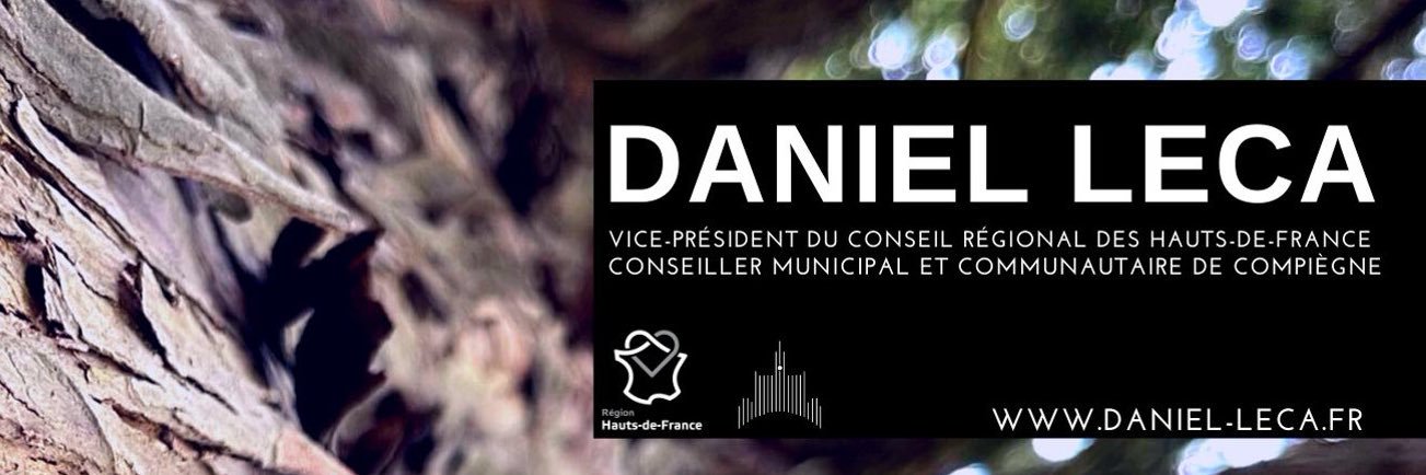 Daniel Leca 🇪🇺🇫🇷 banner