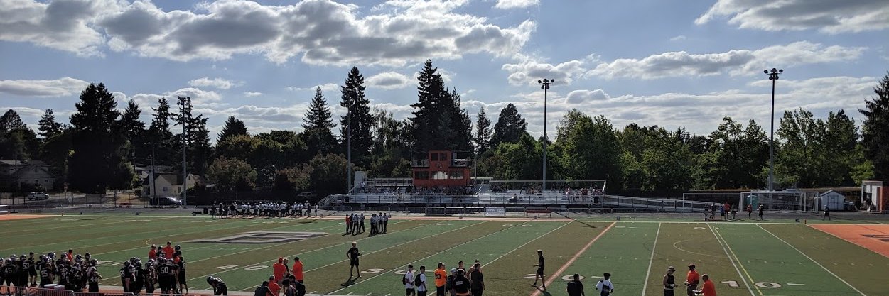 Sway Database banner