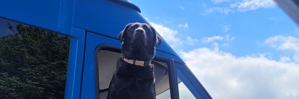 jogirving Profile Banner