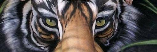 mkireland's profile banner image