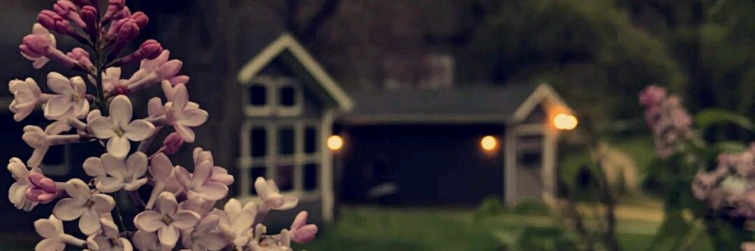 m_ana2012sh's profile banner image