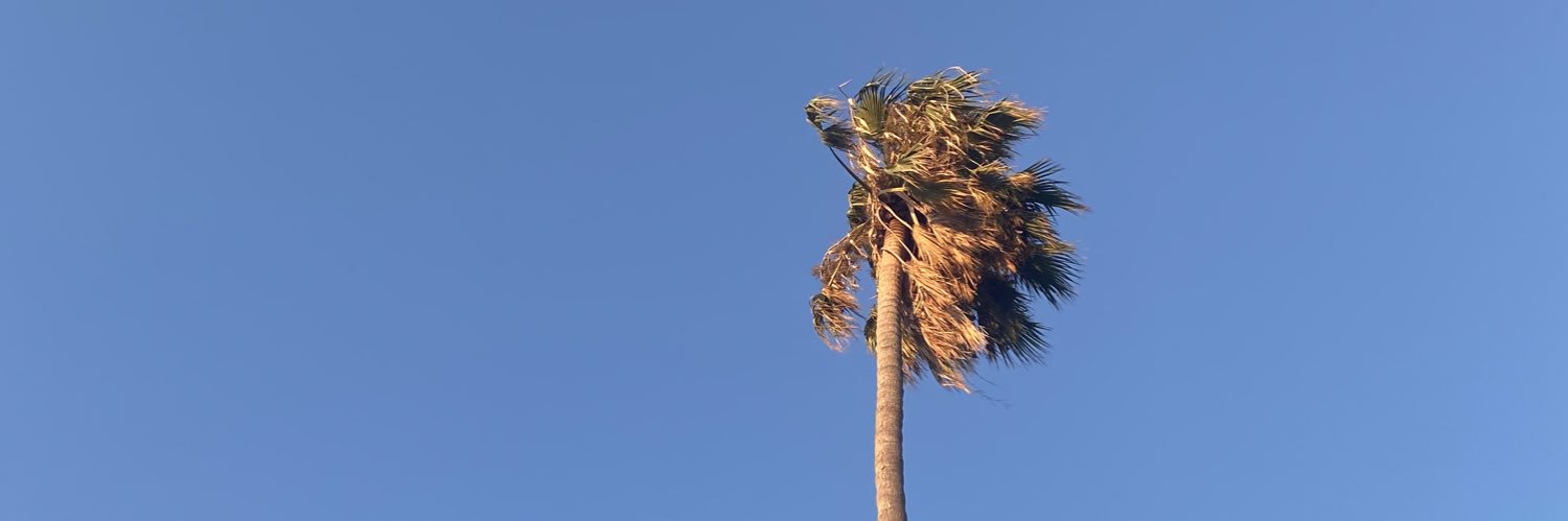 mimsbty's profile banner image