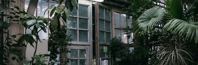 де́шай🌿 banner
