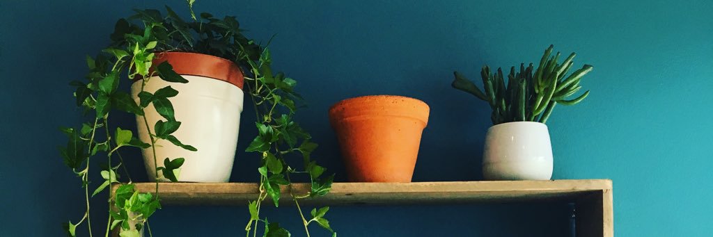 Roguefoxcoffee banner