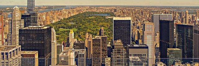 Madisonennuevayork banner