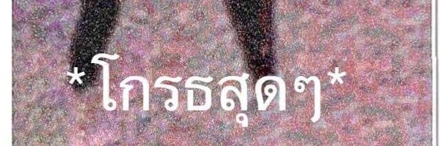 salmin banner