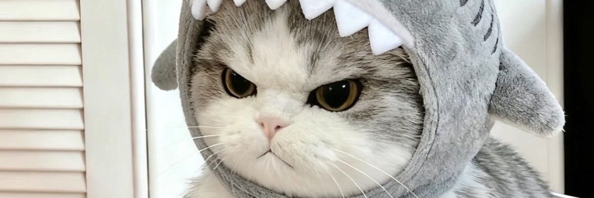 sharpkwon's profile banner image