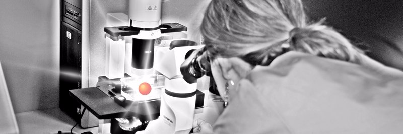 igenbiotech's profile banner image
