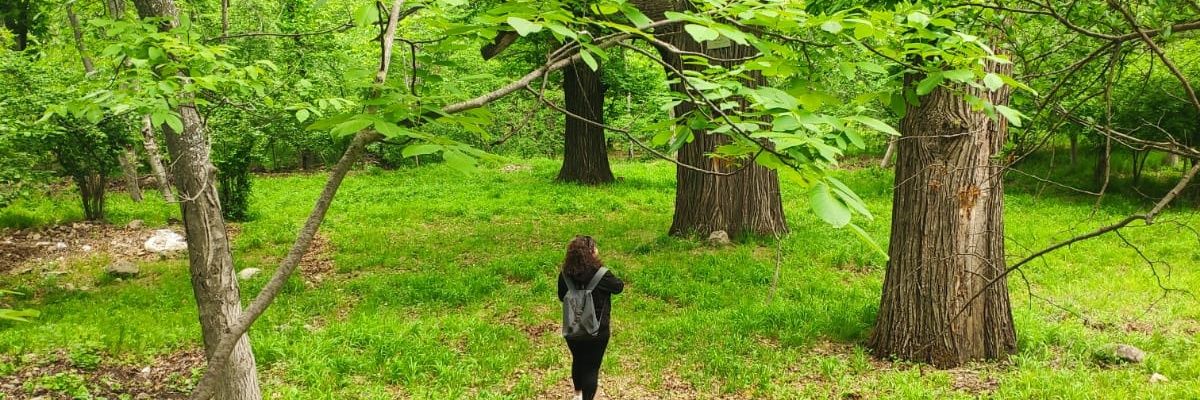 hazelsezin's profile banner image