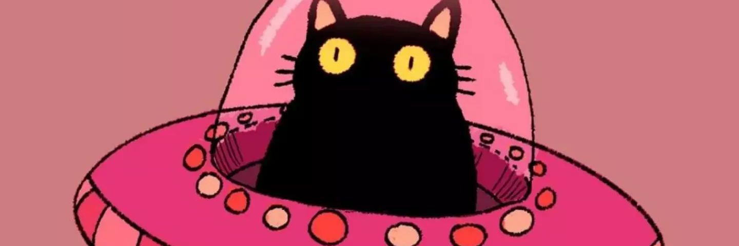 anipauga's profile banner image